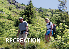 Recreation - hikers
