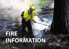 Wildfire Information