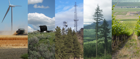 DNR appraises many types of land