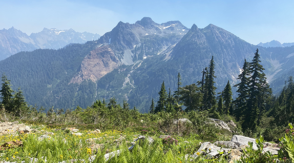 A mountaintop stands above a meadow with noble firs in the middle distance in the Morningstar Natural Resources Conservation Area. 