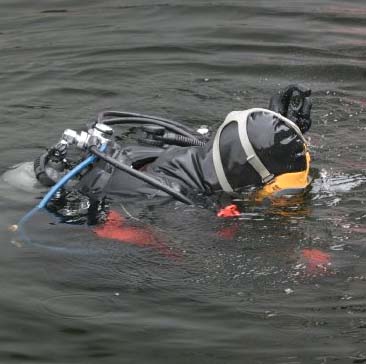 geo duck diving wa geo duck diving wa