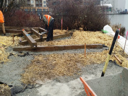 Combined construction placing new wood for boardwalk construction