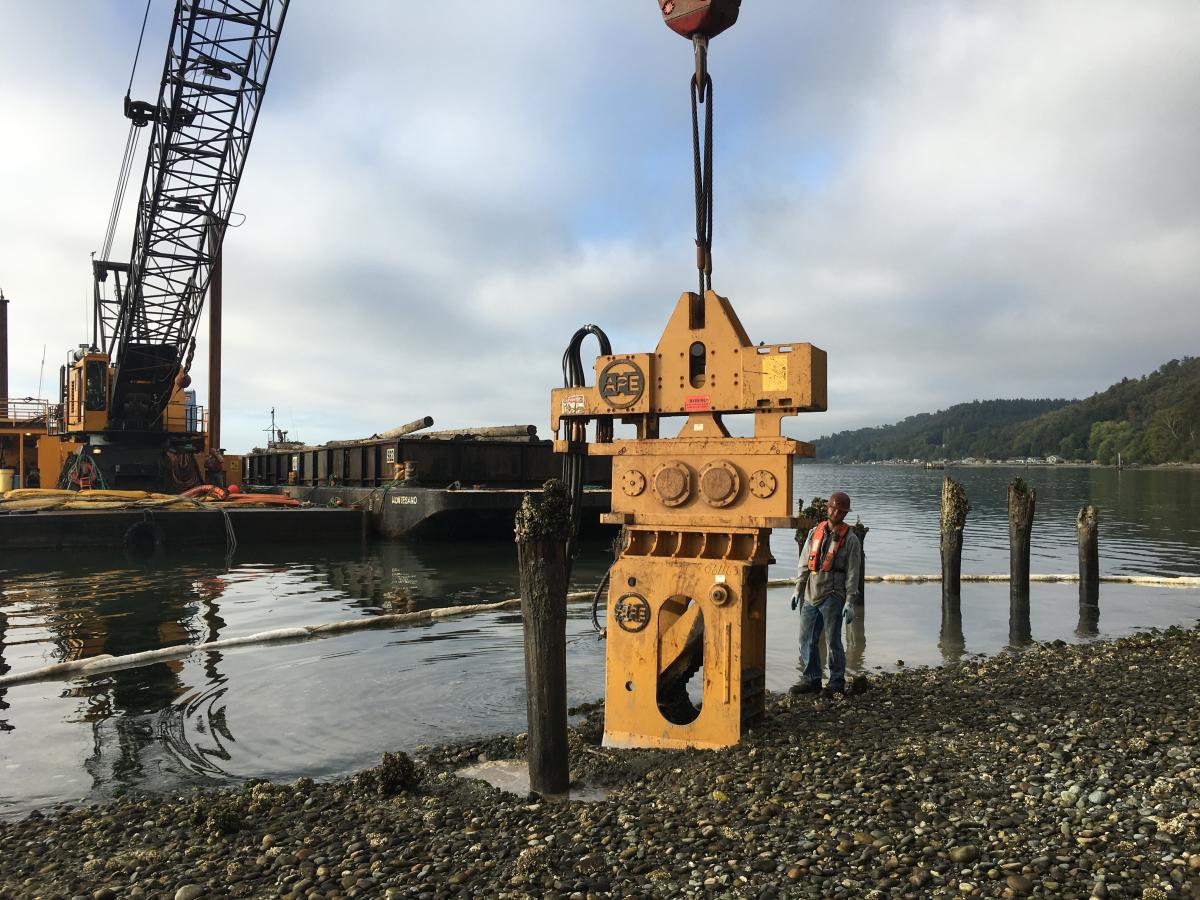 Vibratory hammer removing creosote-treated piling from Maury Island Aquatic Reserve