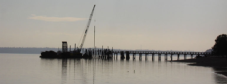 Maury Island Restoration effort