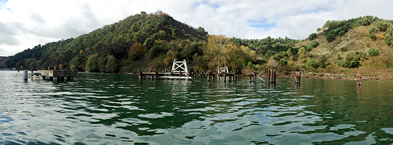 Derelict pilings will be removed from King County's Maury Island Natural Area in September 2016.