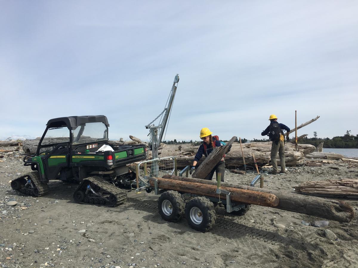 Staff loading marine debris onto tractor