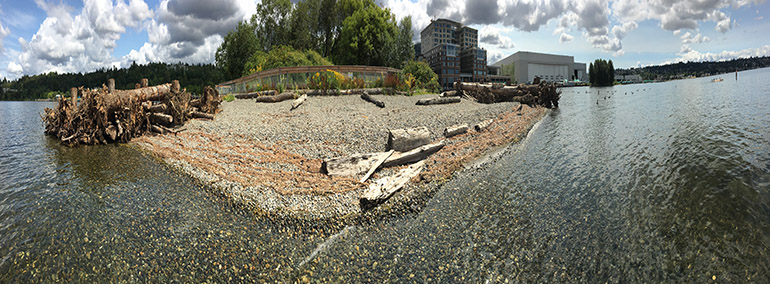 Pristine Beach restoration Pristine beach restoration