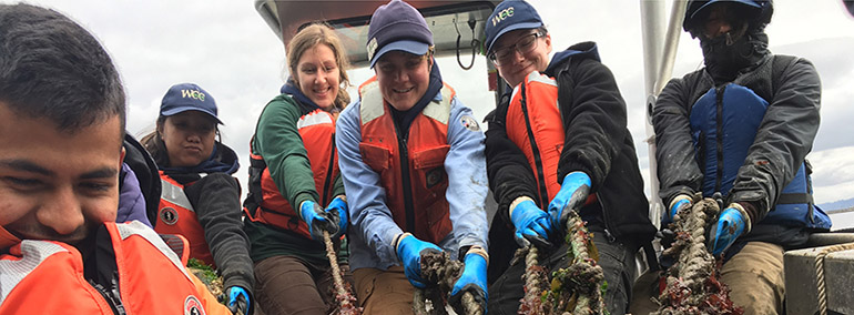 PS Corps Group removing marine debris from Puget Sound