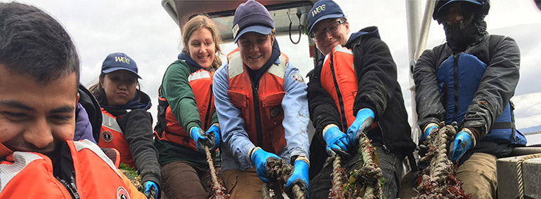 PS Corps Group removing marine debris from Puget Sound PS Corps Group removing marine debris from Puget Sound