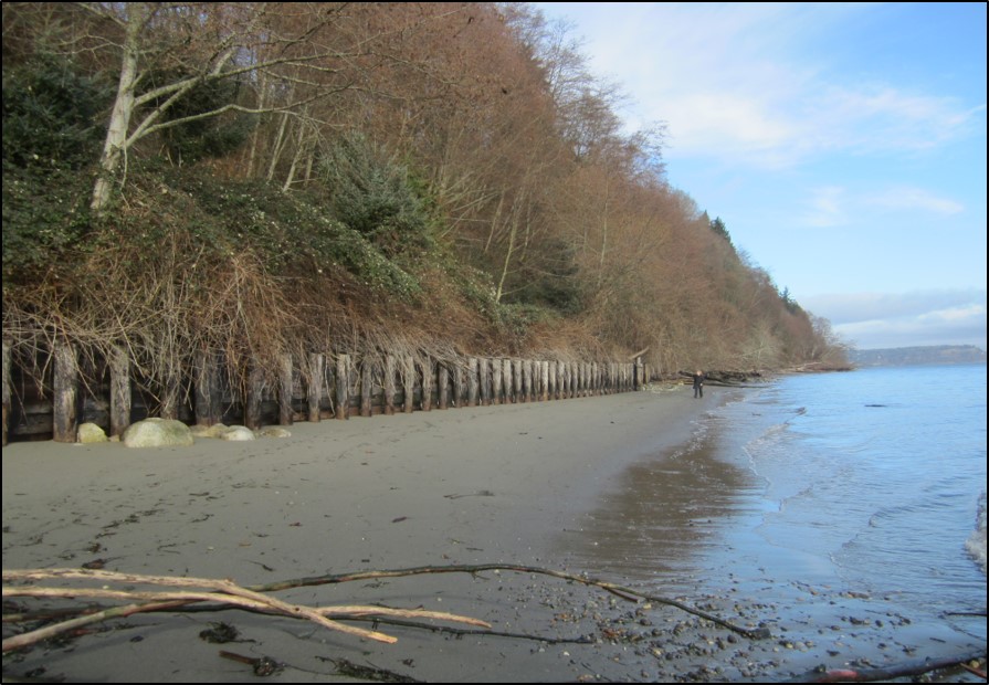 Before photo of bulkhead removal on Whidbey Island