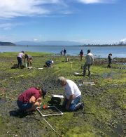 Intertidal Monitoring 