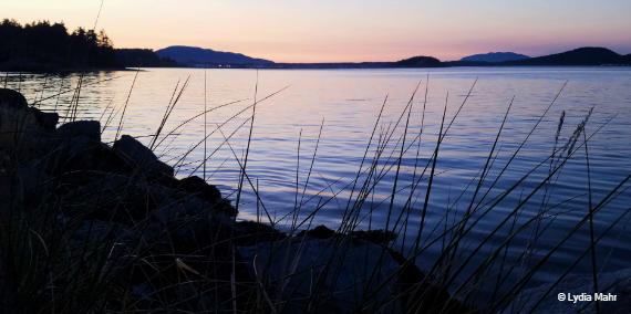 Fidalgo Bay Aquatic Reserve at sunset