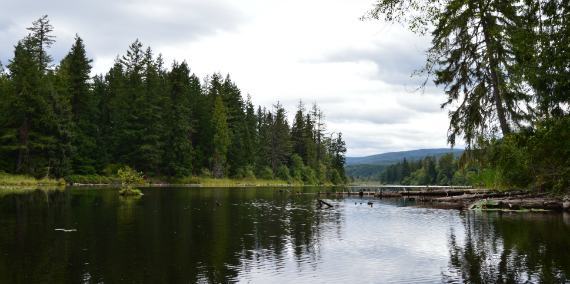 Lake Kapowsin Aquatic Reserve