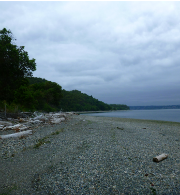 Maury Island shoreline