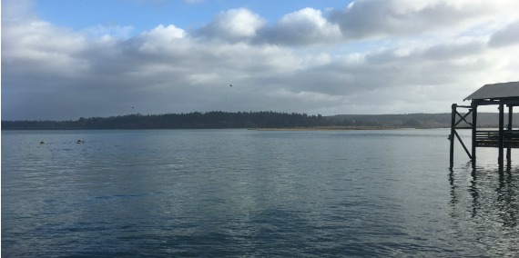 Nisqually Reach Aquatic Reserve