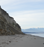 Protection Island Aquatic Reserve