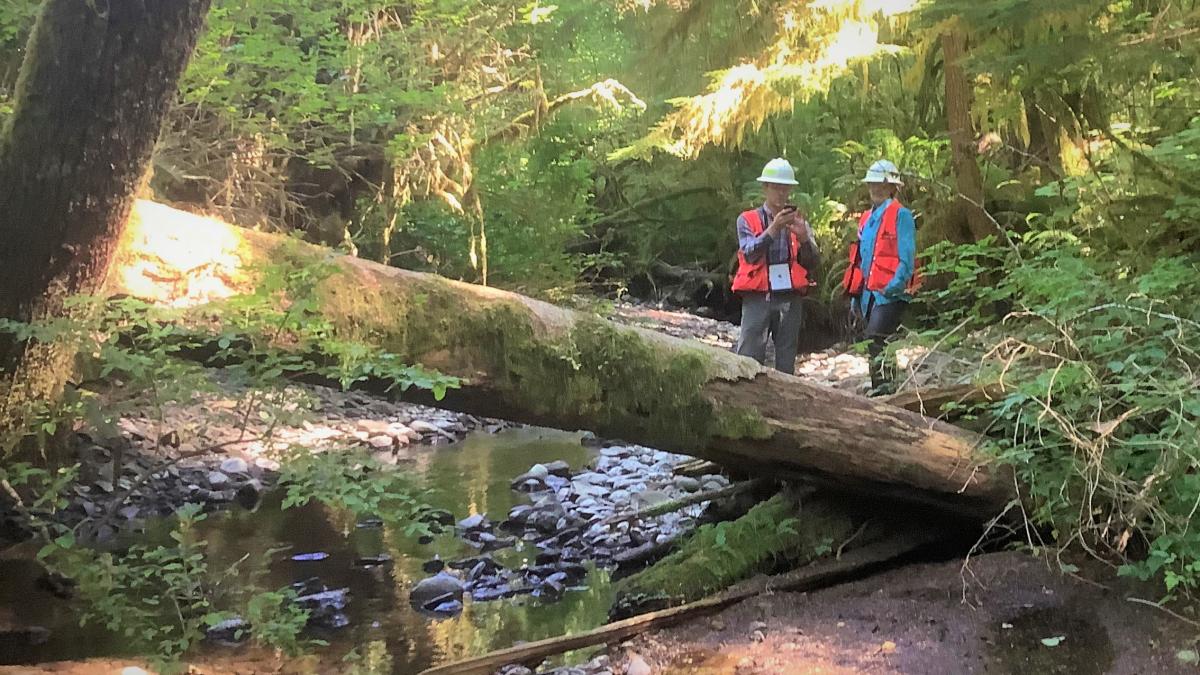 The Forestry Riparian Easement Program (FREP) is a voluntary program that reimburses landowners for the value of trees they are required to leave to protect fish habitat.