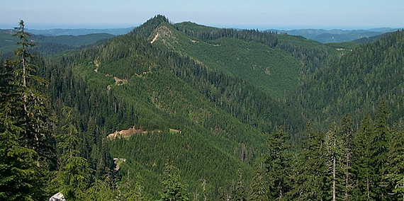 A rugged mountain slope in the OESF