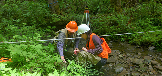 Stream monitoring in the OESF
