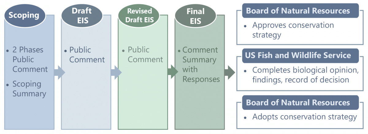 A graphic showing the phases followed to develop the long-term conservation strategy