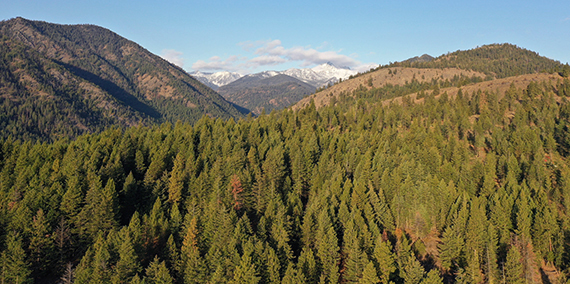 State Trust Lands in Eastern Washington
