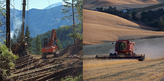 Timber harvest and agriculture on state trust lands