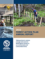 2022 forest health highlights cover