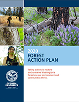 Cover of the 2020 Forest Action Plan
