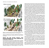 Cover image of The Role of Shaded Fuel Breaks in Support of Washington's 20-Year Forest Health Strategic Plan