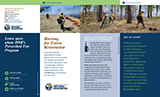Prescribed Fire Brochure