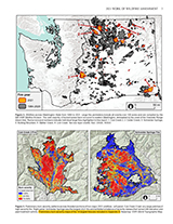 Work of Wildfire report page