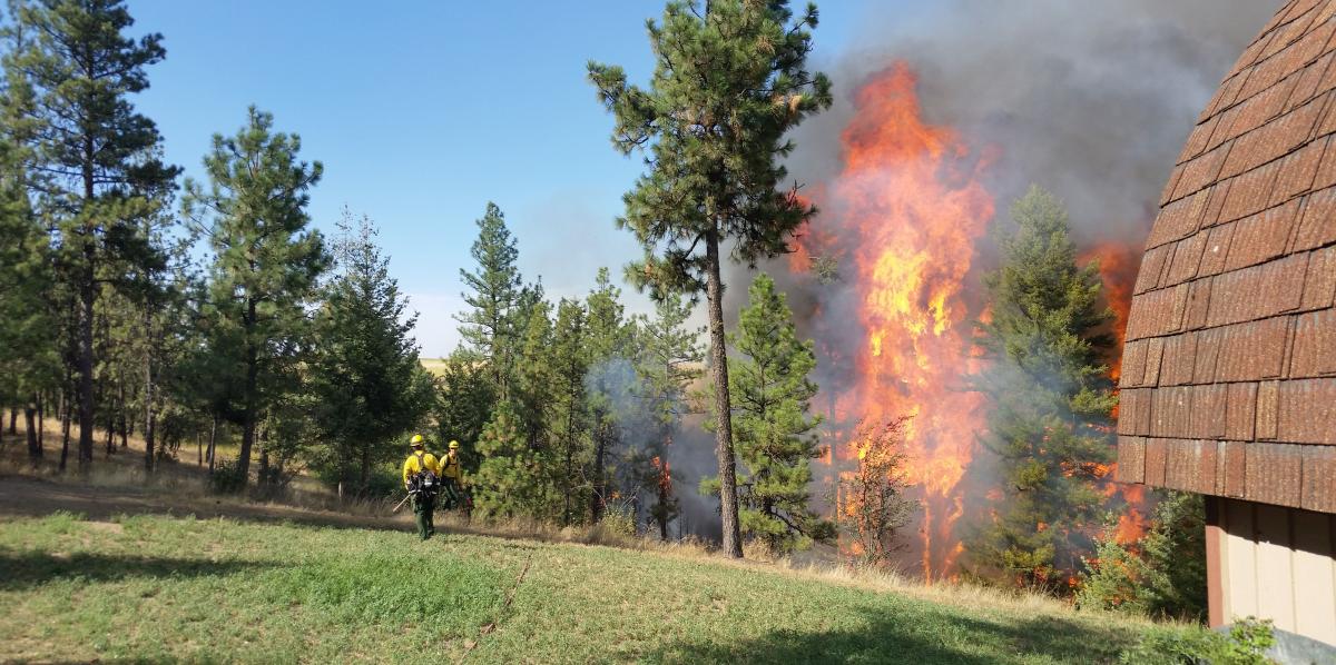 fire behind a house