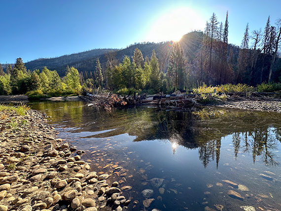 Cedar Creek Fire Scar